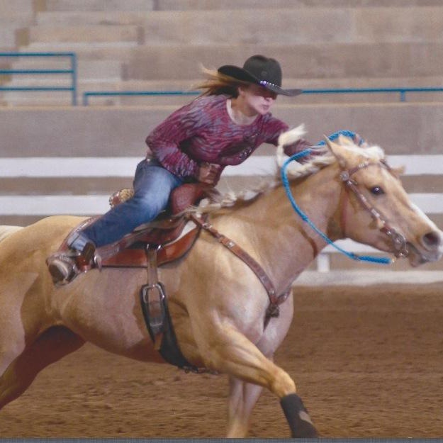 Barrel performance sires, CrownRoyal Frenchman, Mossbar Cat